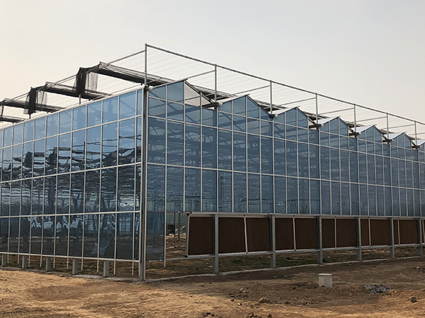 智能温室大棚建设需要注意的原则问题